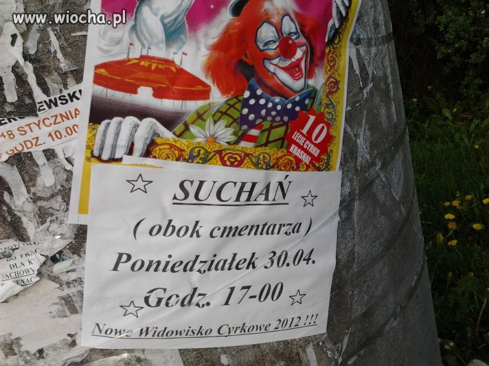 Cyrk też może być...