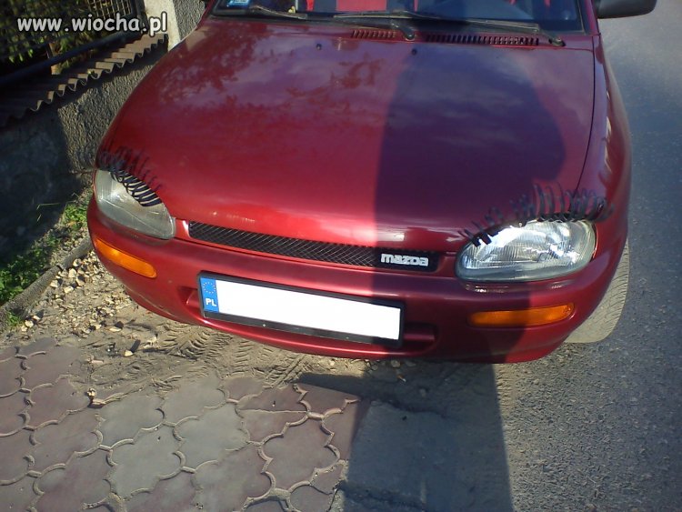 Piękna ta bestia...