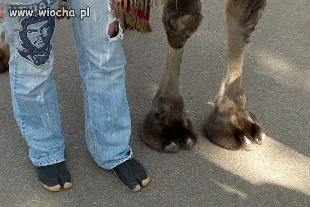 Nowy trend w modzie 