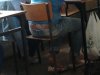 Szkolny pokaz bielizny...