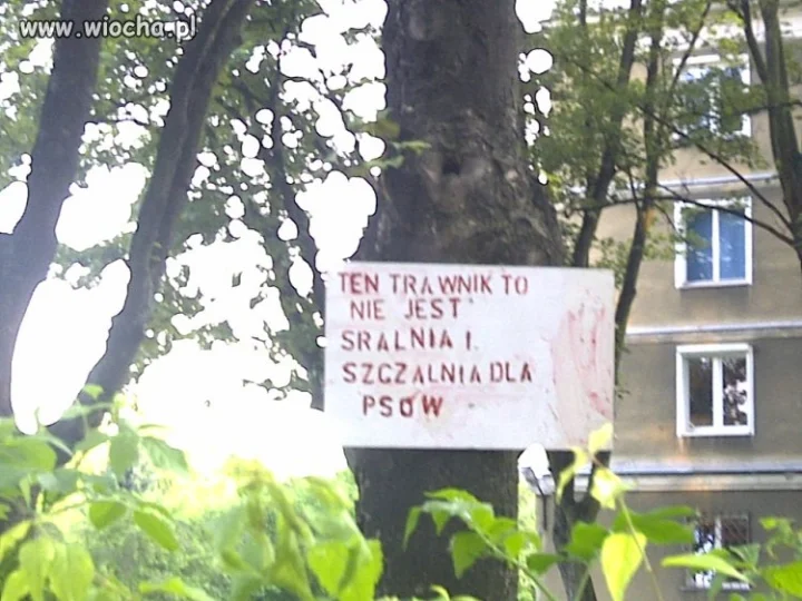 Niezwykły trawnik