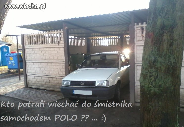 Polo