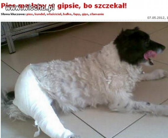Największa wiocha! SADYSTA!