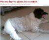 Największa wiocha! SADYSTA!