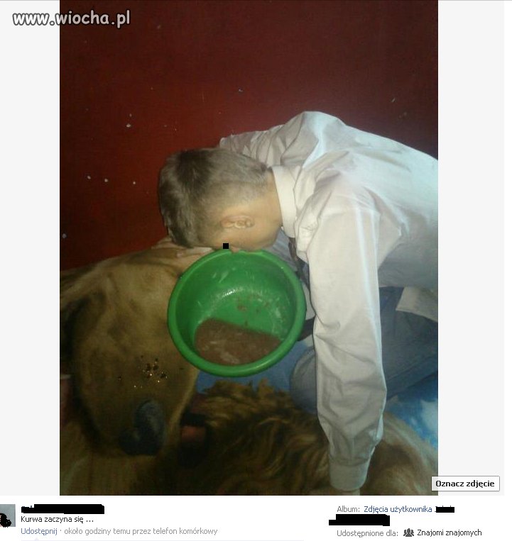 Jak można dodać takie zdjęcie na facebooka...