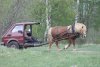 Fiat 126p, rocznik 1993