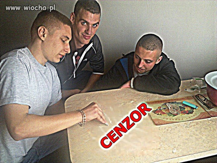 Patolog skład