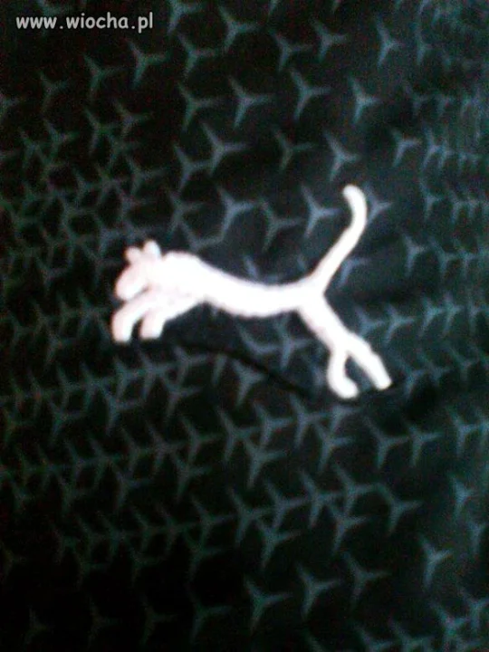 Puma