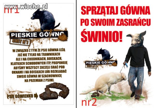 Psia kupa zostawiona po twoim psie to wiocha