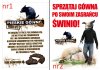 Psia kupa zostawiona po twoim psie to wiocha