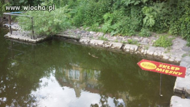 Sklep mięsny "Agrofirma"
