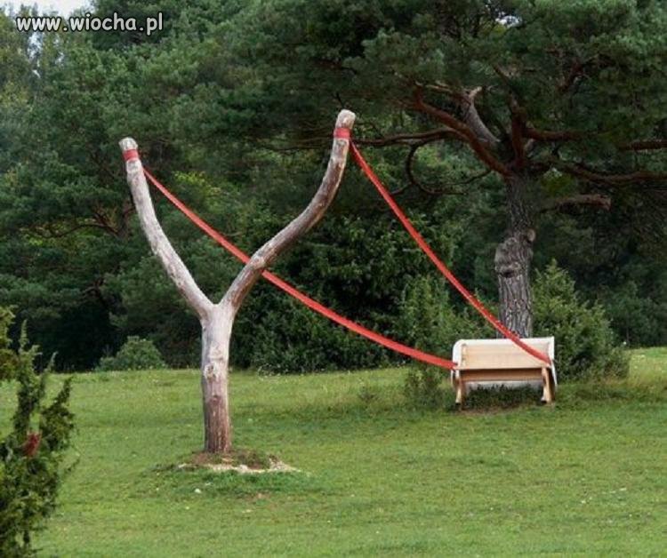 Tanie linie...