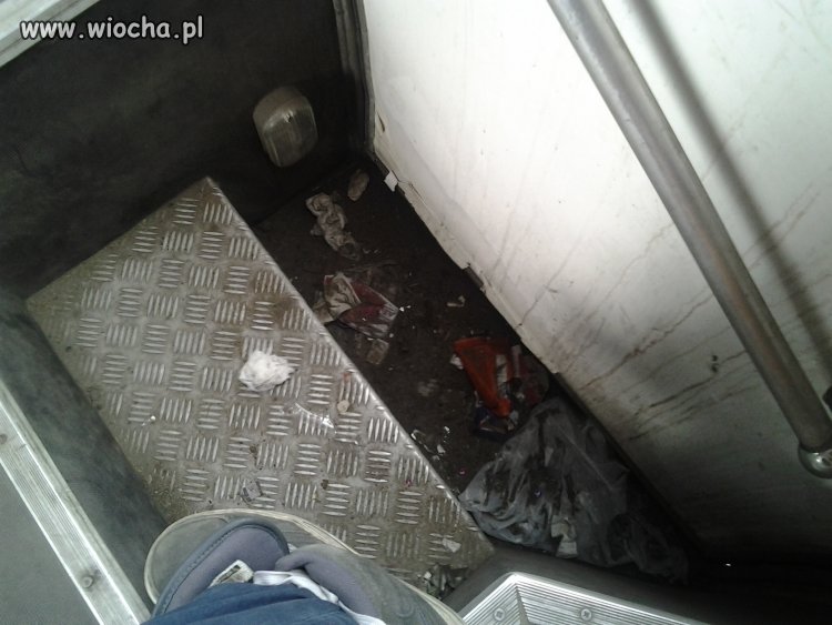 Czystość w autobusach...