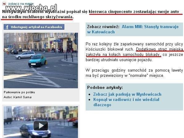 Kolejny popis polskich kierowców, 