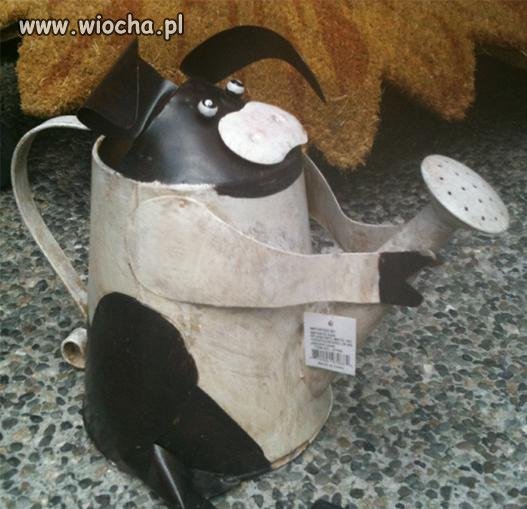Niezłe 