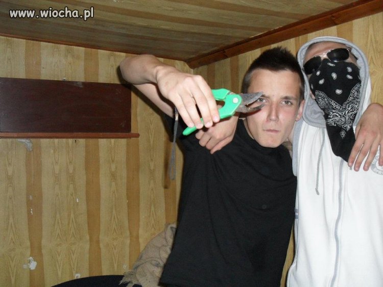 Gangsta z sekatorem
