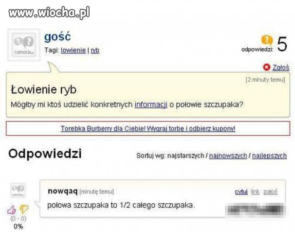 Głupie pytanie głupia odpowiedź