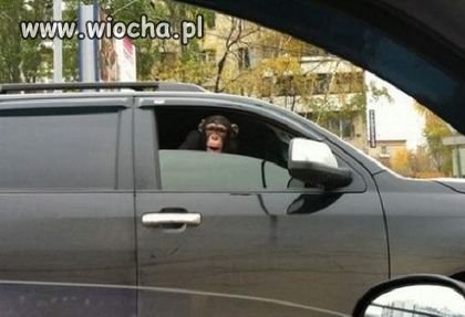Nie ogarniam...