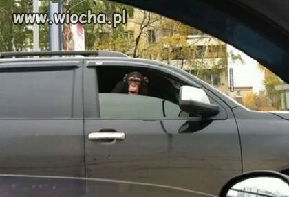 Nie ogarniam...