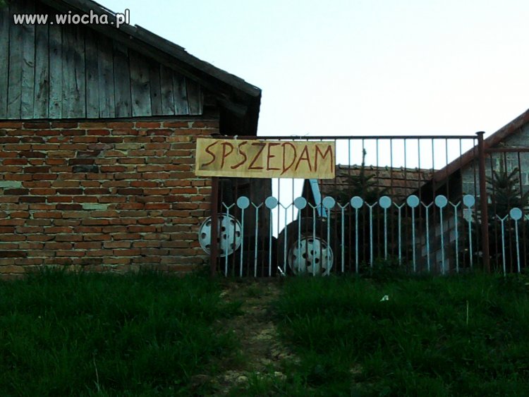 Polska ortografia