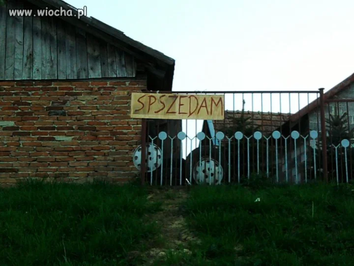 Polska ortografia