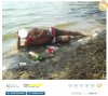 Ciekawe co popija