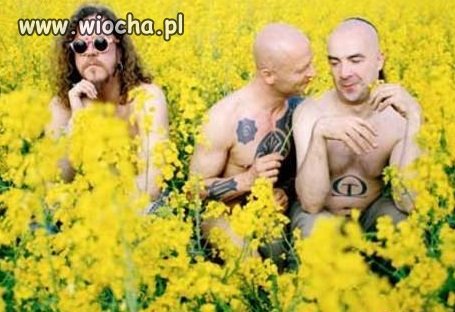 Kochanie jakoś się ułoży