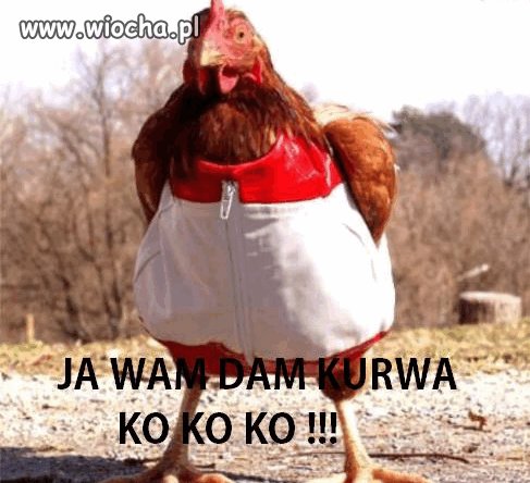 KOKOKOKO...