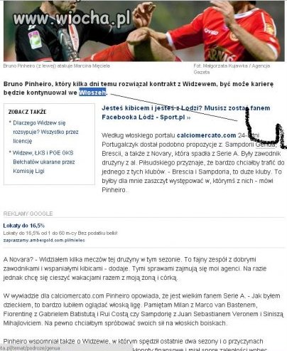 Polscy Redaktorzy!