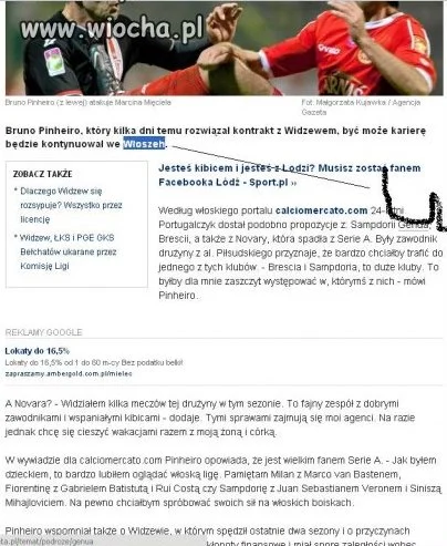 Polscy Redaktorzy!