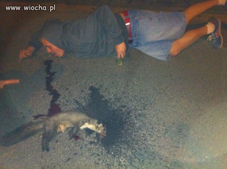 Głupota na fb