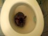 Po prostu wiocha 