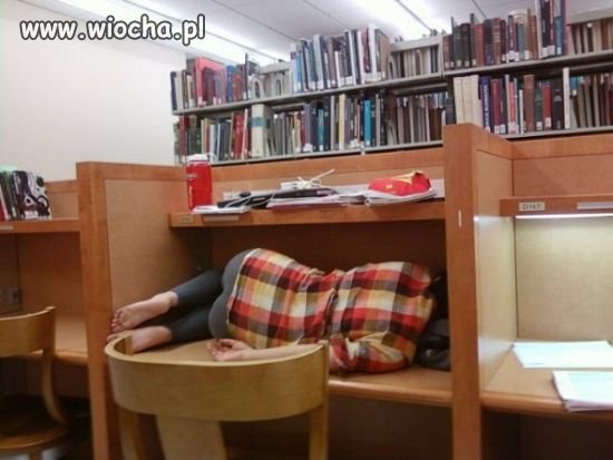 W bibliotece jest cicho
