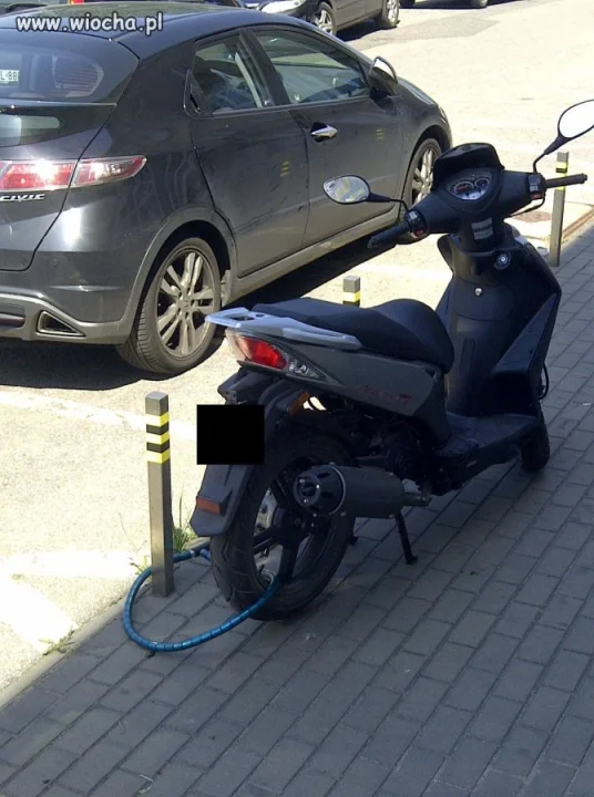 Pewnie nie ukradną