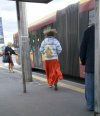 Mnich z Shaolin na szkolnej wycieczce  z pandą 