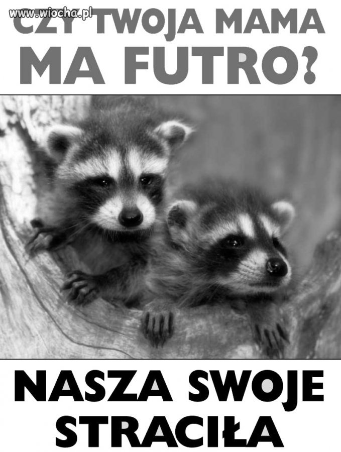 Bo teraz z pewnością