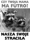 Bo teraz z pewnością
