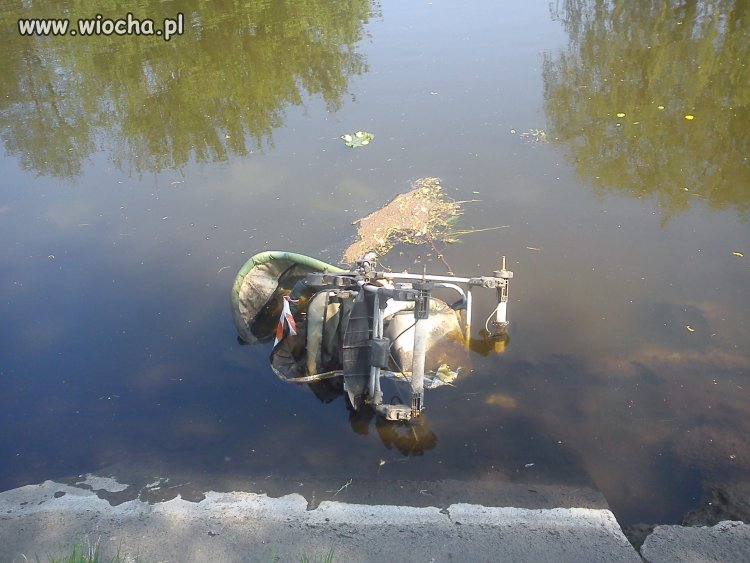 Takie ryby pływają w Pilskiej Gwdzie..