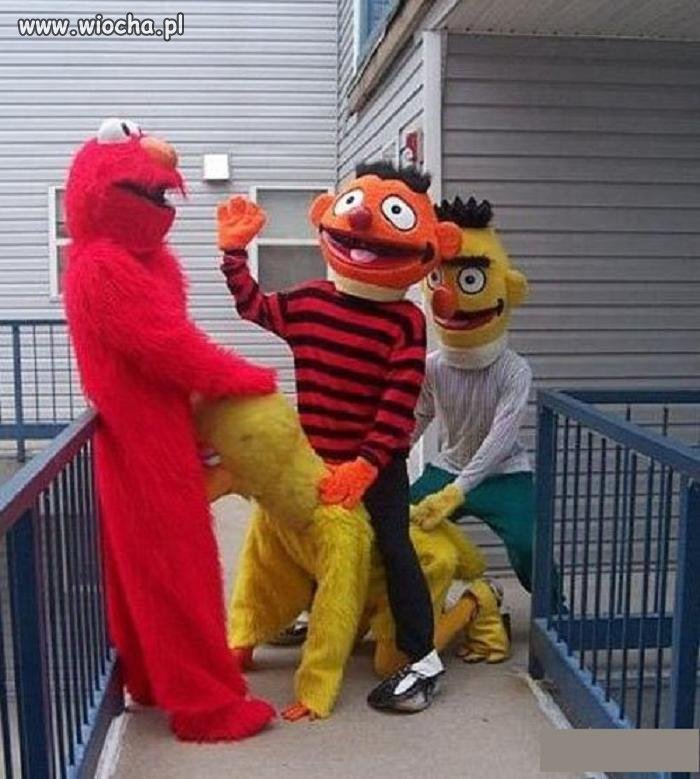 Świat Elmo