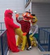 Świat Elmo