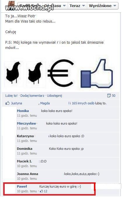 Koko koko euro spoko