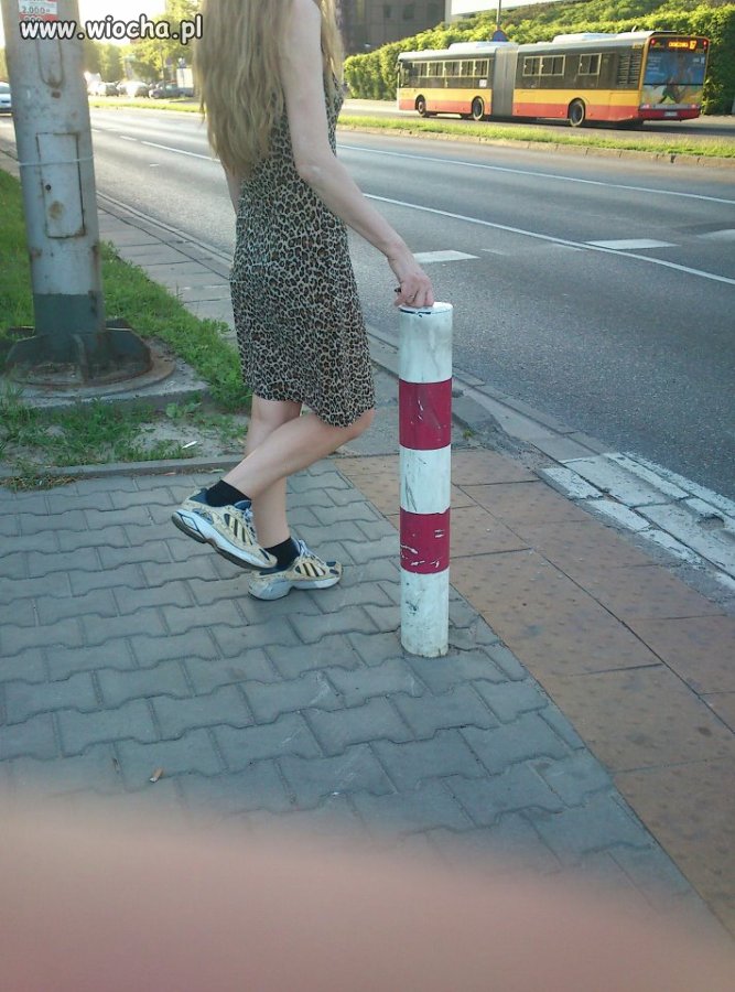 Panterka i adidaski 
