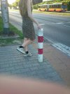 Panterka i adidaski 
