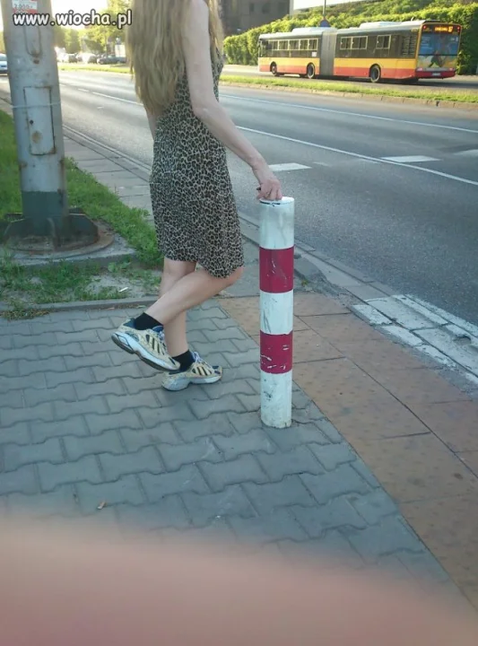Panterka i adidaski 