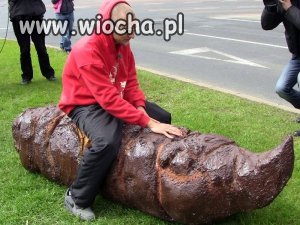 Ujeżdżanie balasa