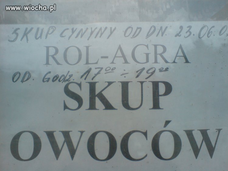 Skup cynny