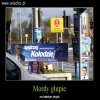To najgorsze co można zobaczyć na ulicy
