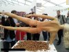 Babka do orzechów