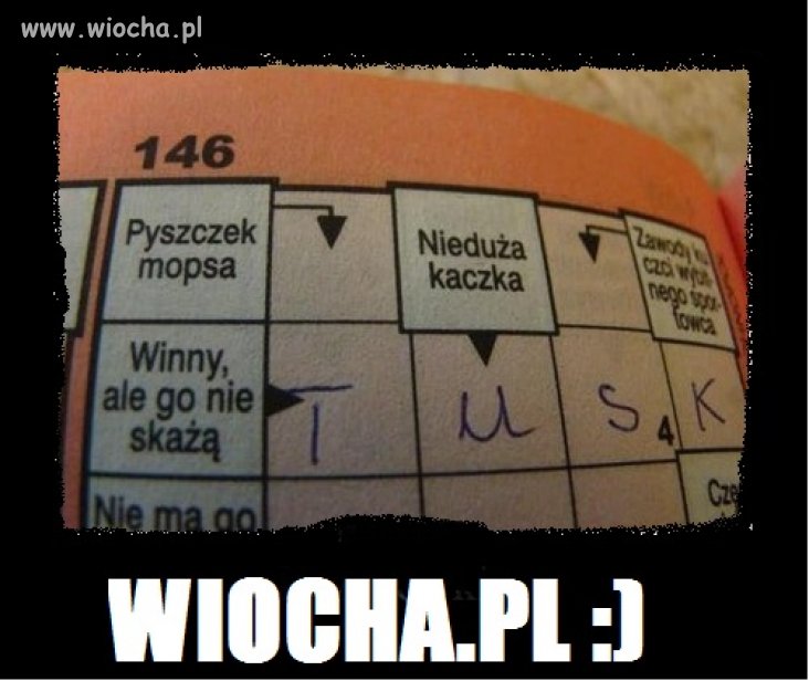 Krzyżówki...