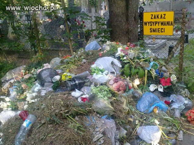 Takie zakazy to tylko w Augustowie.